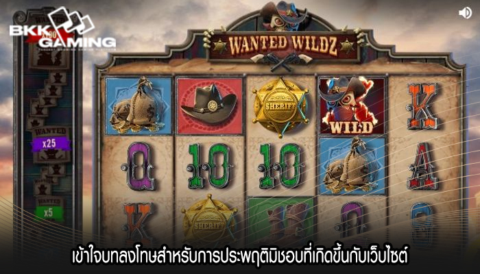 เข้าใจบทลงโทษสำหรับการประพฤติมิชอบที่เกิดขึ้นกับเว็บไซต์