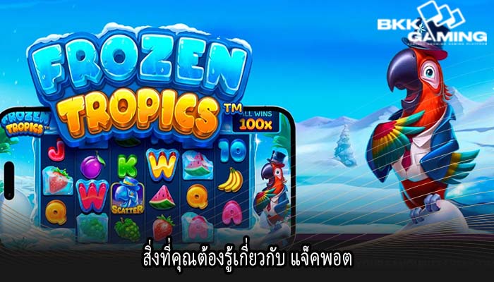 สิ่งที่คุณต้องรู้เกี่ยวกับ แจ็คพอต