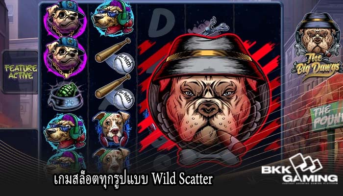 เกมสล็อตทุกรูปแบบ Wild Scatter