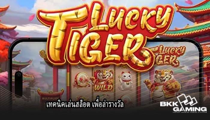 เทคนิคเล่นสล็อต เพื่อล่ารางวัล