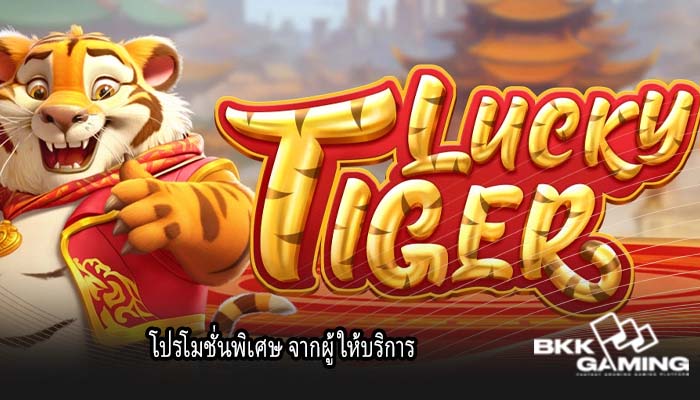 โปรโมชั่นพิเศษ จากผู้ให้บริการ